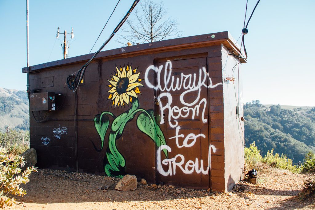 Photo of a wooden shed with a large sunflower painted on wall, with the words 'Always room to grow'