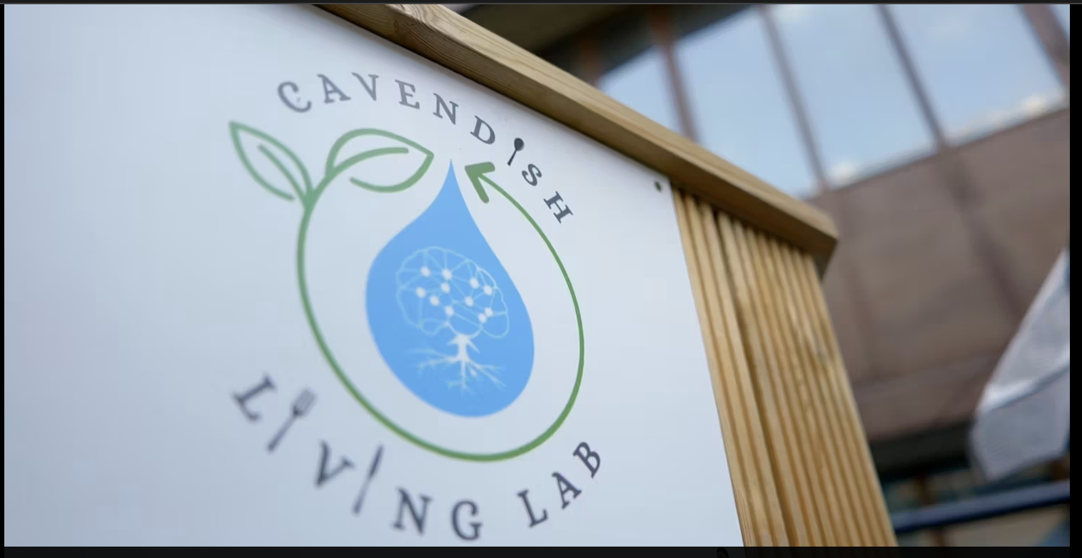 The Cavendish Living Lab at the University of Westminster